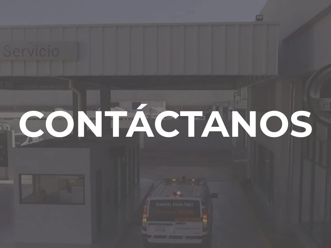 Contactanos
